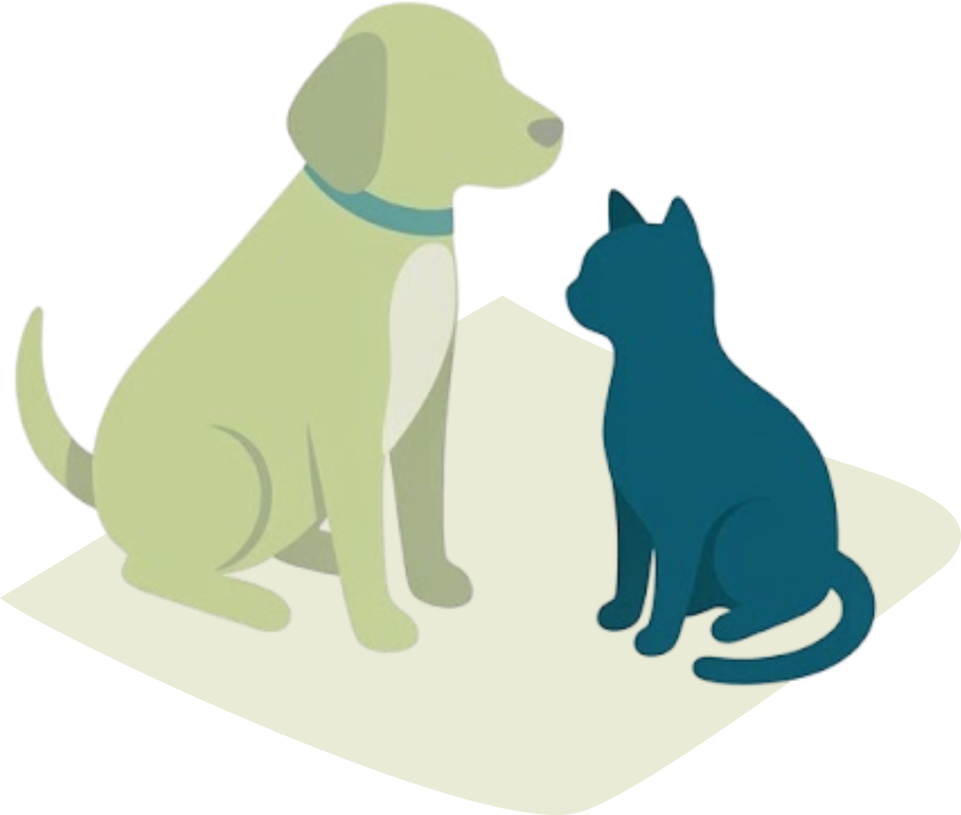 Perro y gato sentados